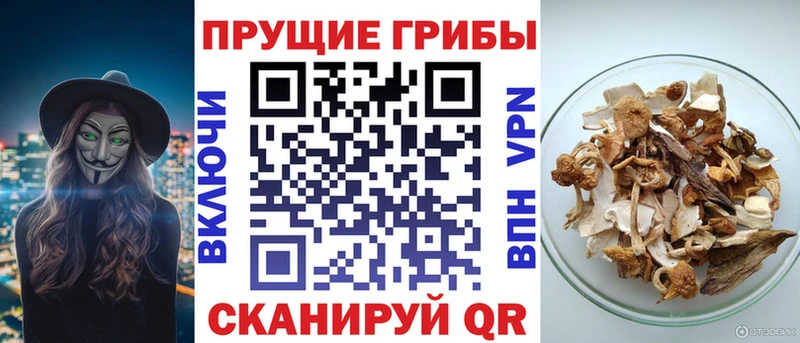 купить наркотик  Карачаевск  Псилоцибиновые грибы прущие грибы 