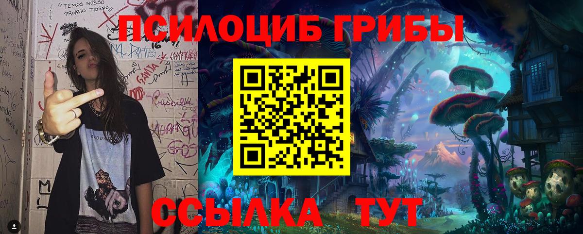 Псилоцибиновые грибы мицелий  Карачаевск 