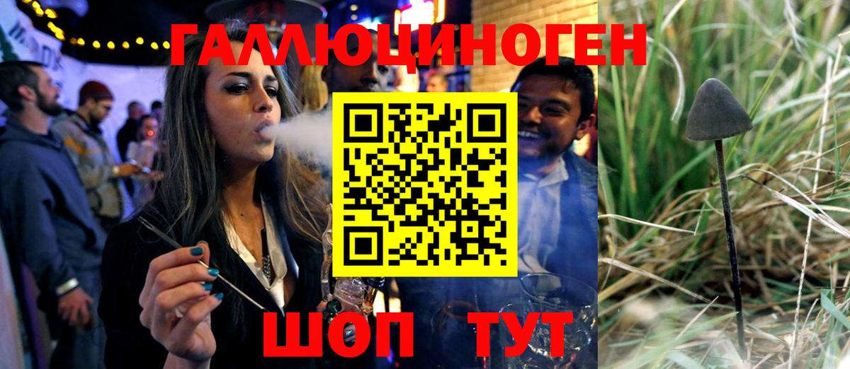 Псилоцибиновые грибы Magic Shrooms Карачаевск