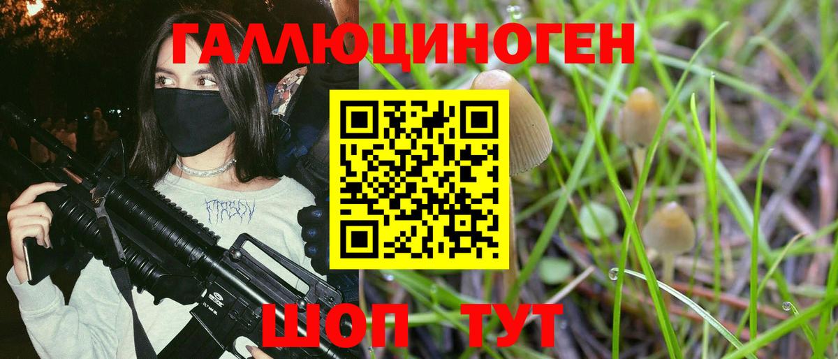 Галлюциногенные грибы Magic Shrooms  Вход с VPN  Карачаевск 
